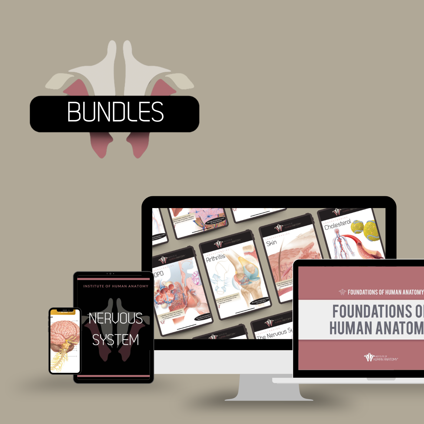 Digital Study Bundles