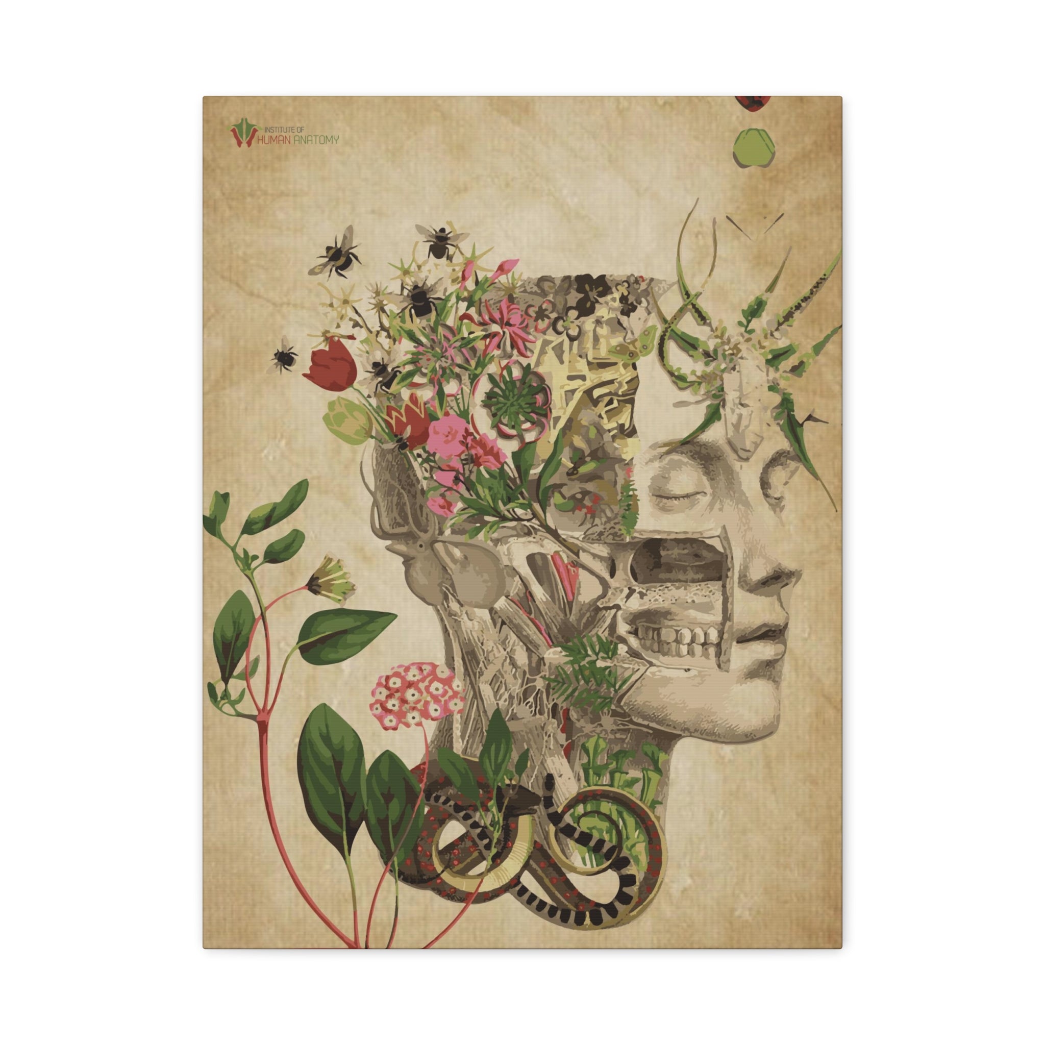 "Nature & Anatomy" V2 Canvas Print