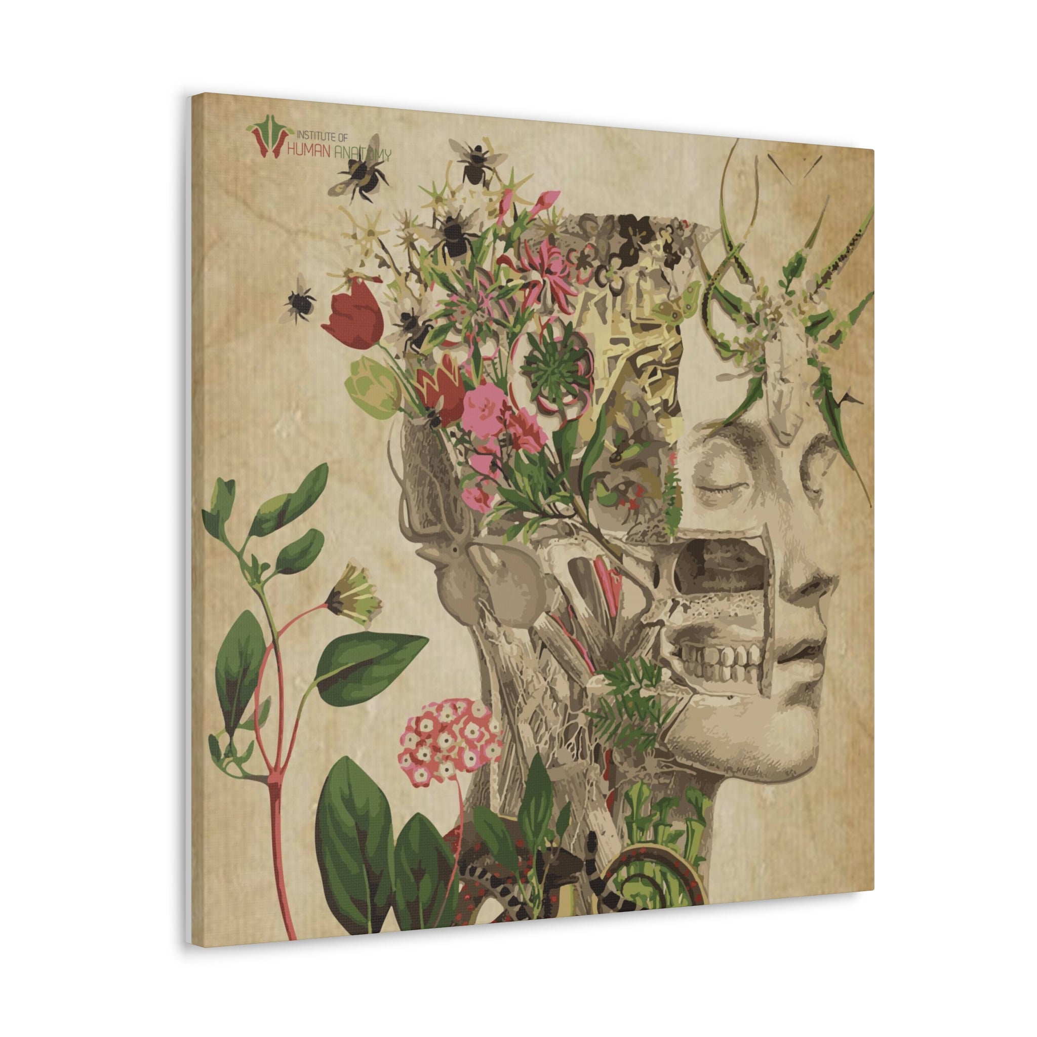 "Nature & Anatomy" V2 Canvas Print