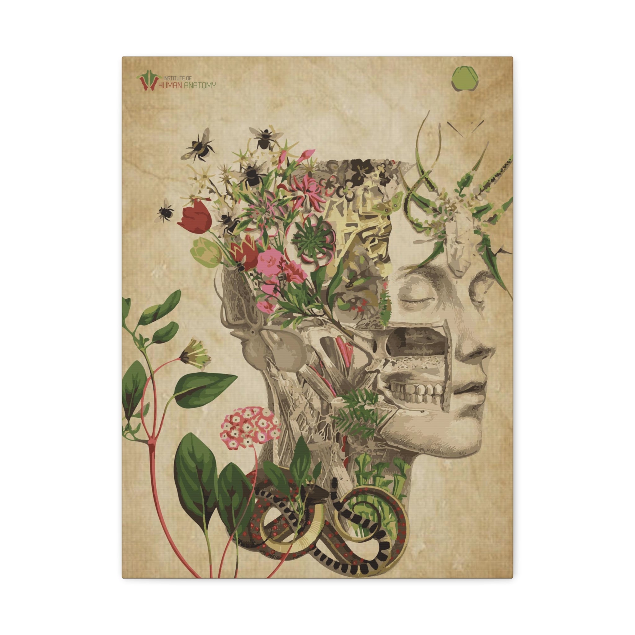 "Nature & Anatomy" V2 Canvas Print