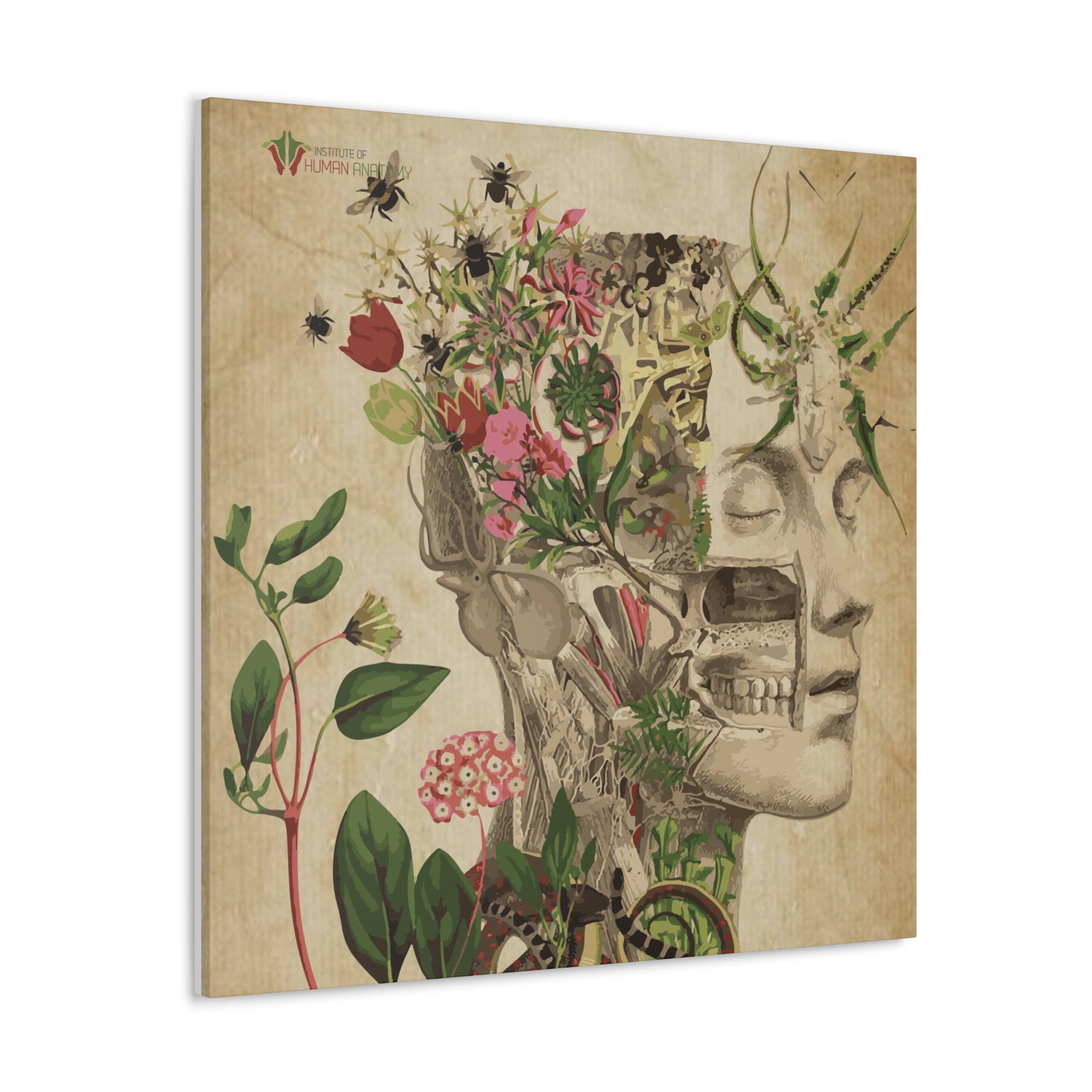 "Nature & Anatomy" V2 Canvas Print