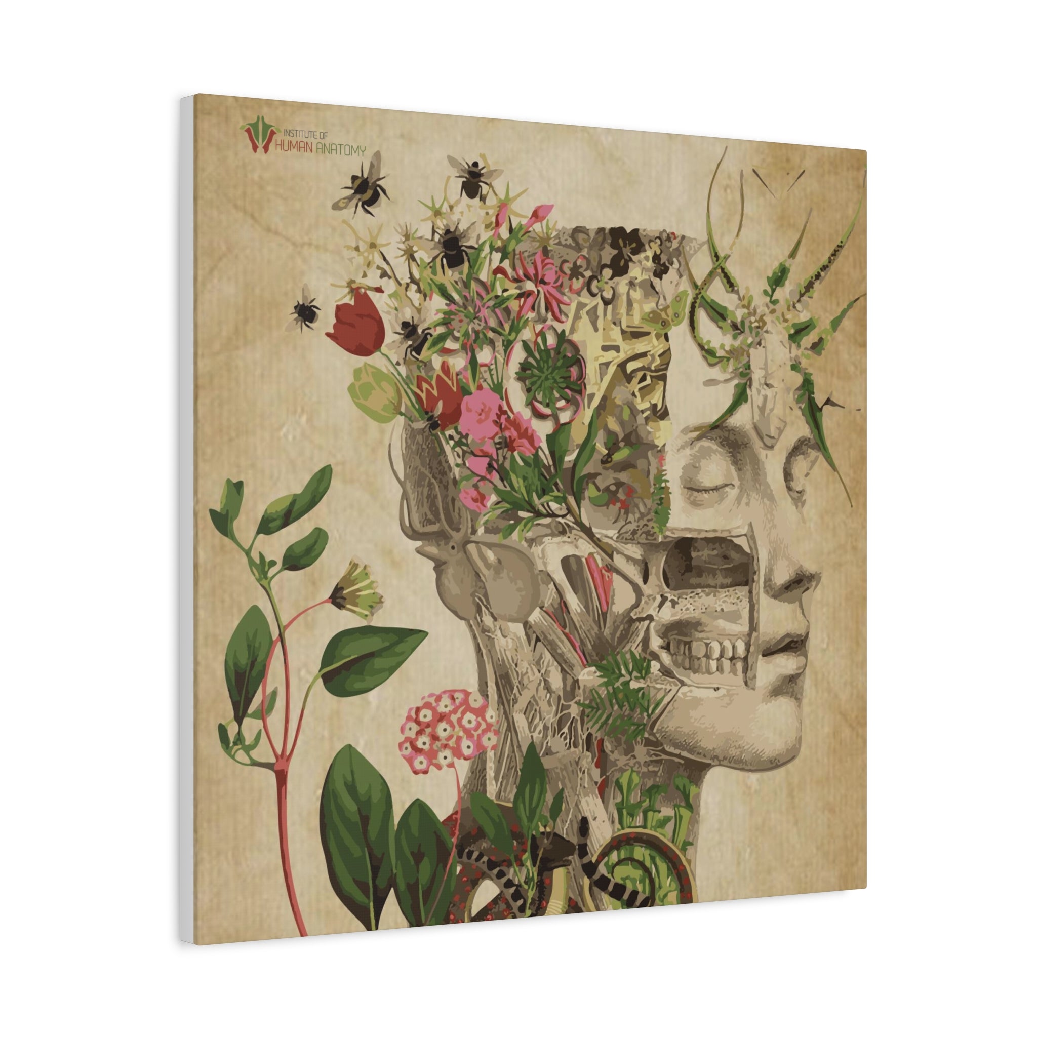 "Nature & Anatomy" V2 Canvas Print
