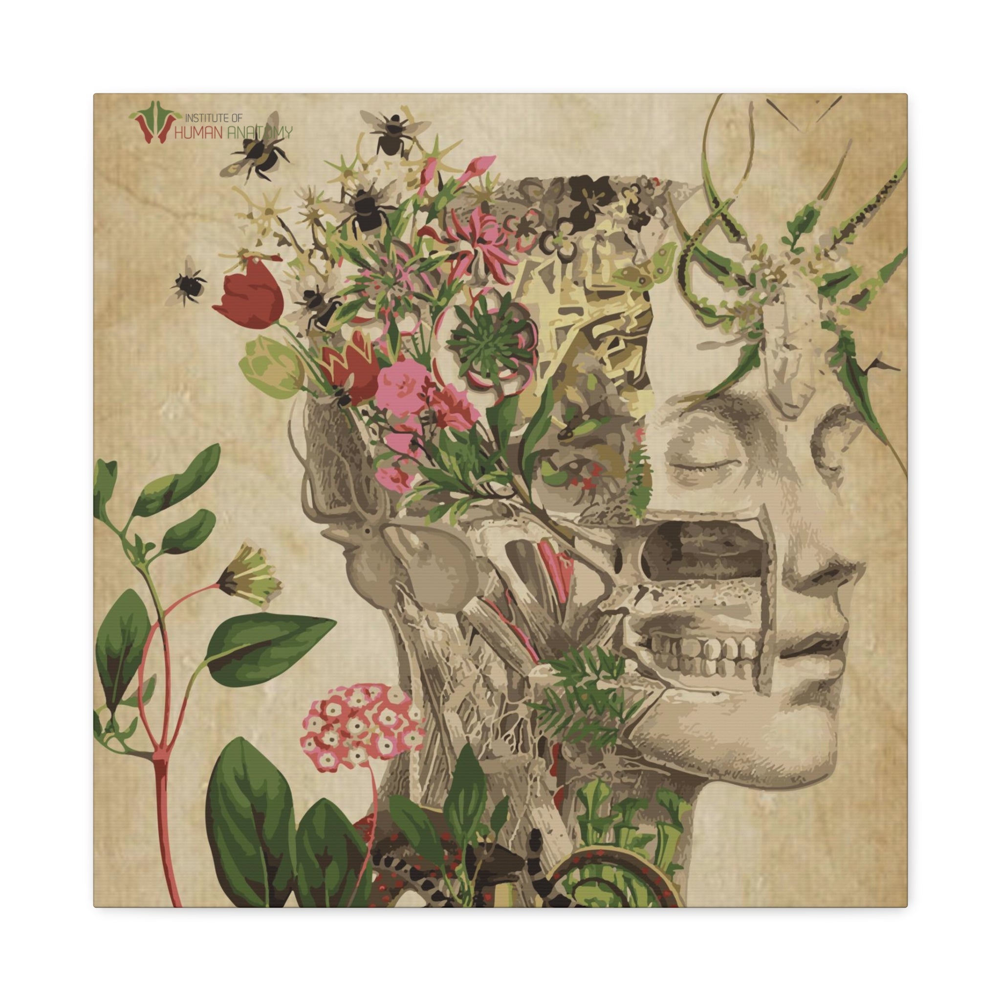"Nature & Anatomy" V2 Canvas Print