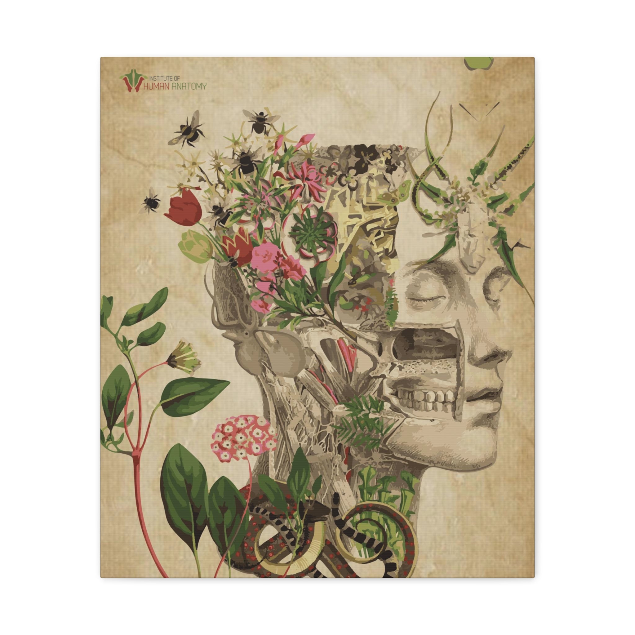 "Nature & Anatomy" V2 Canvas Print