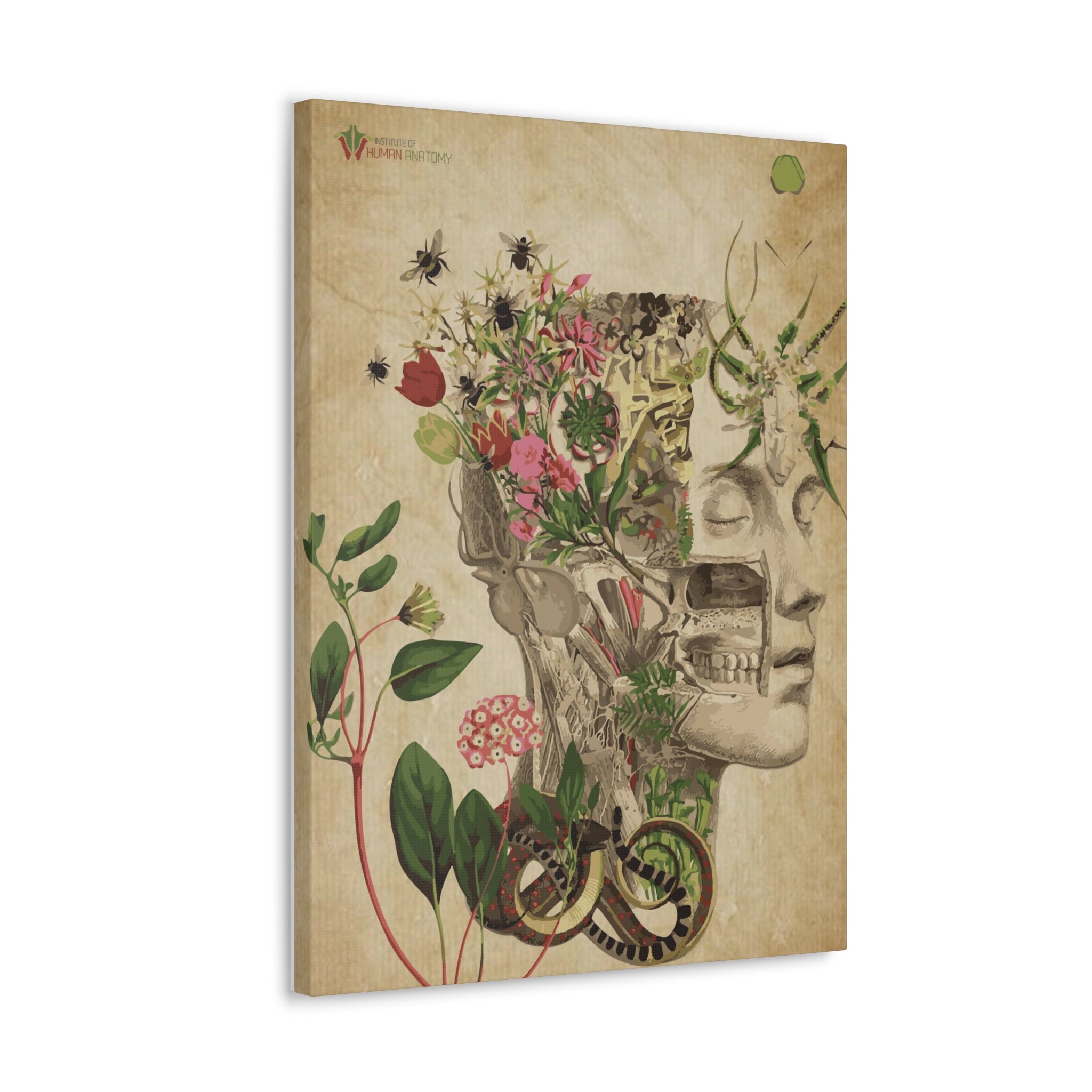 "Nature & Anatomy" V2 Canvas Print
