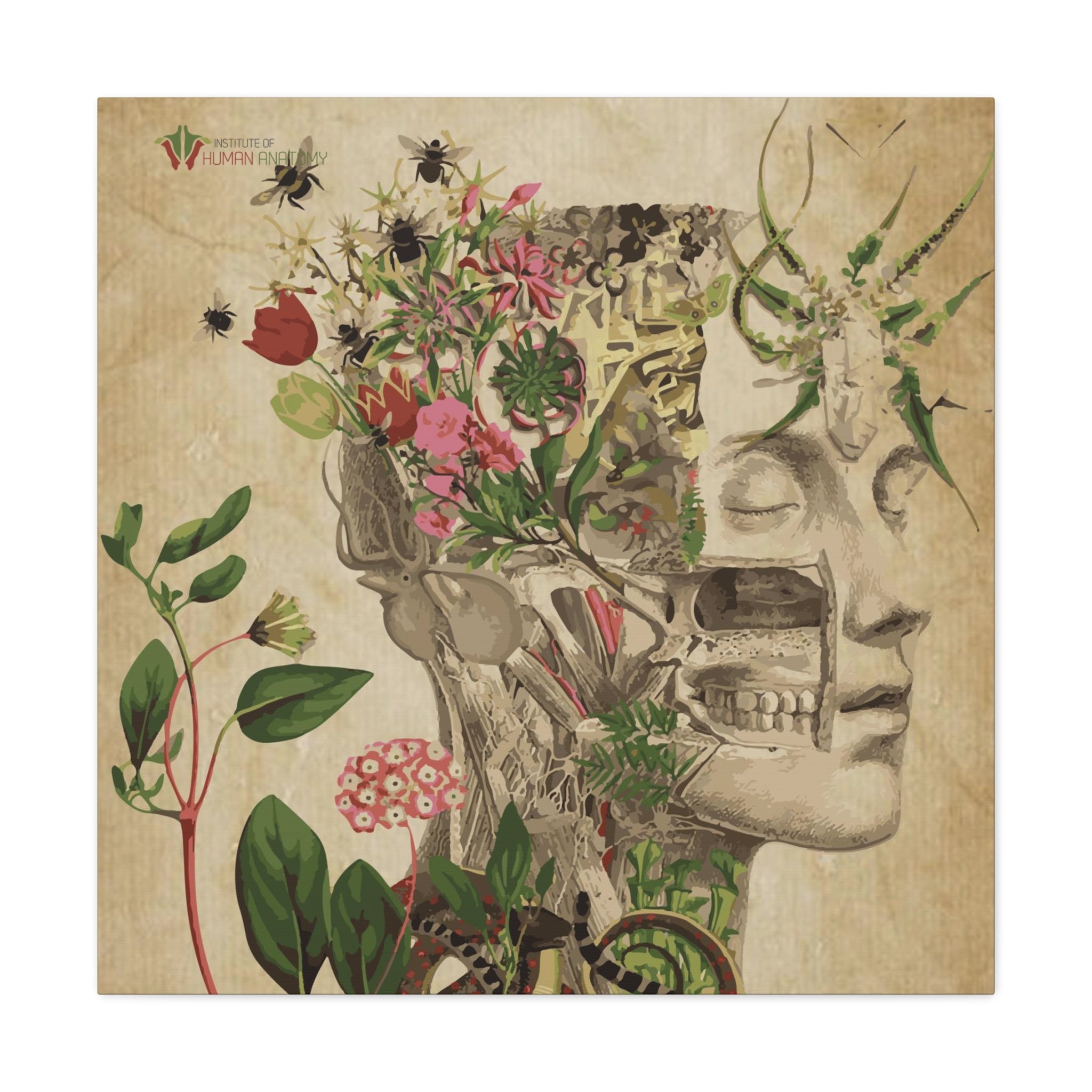 "Nature & Anatomy" V2 Canvas Print