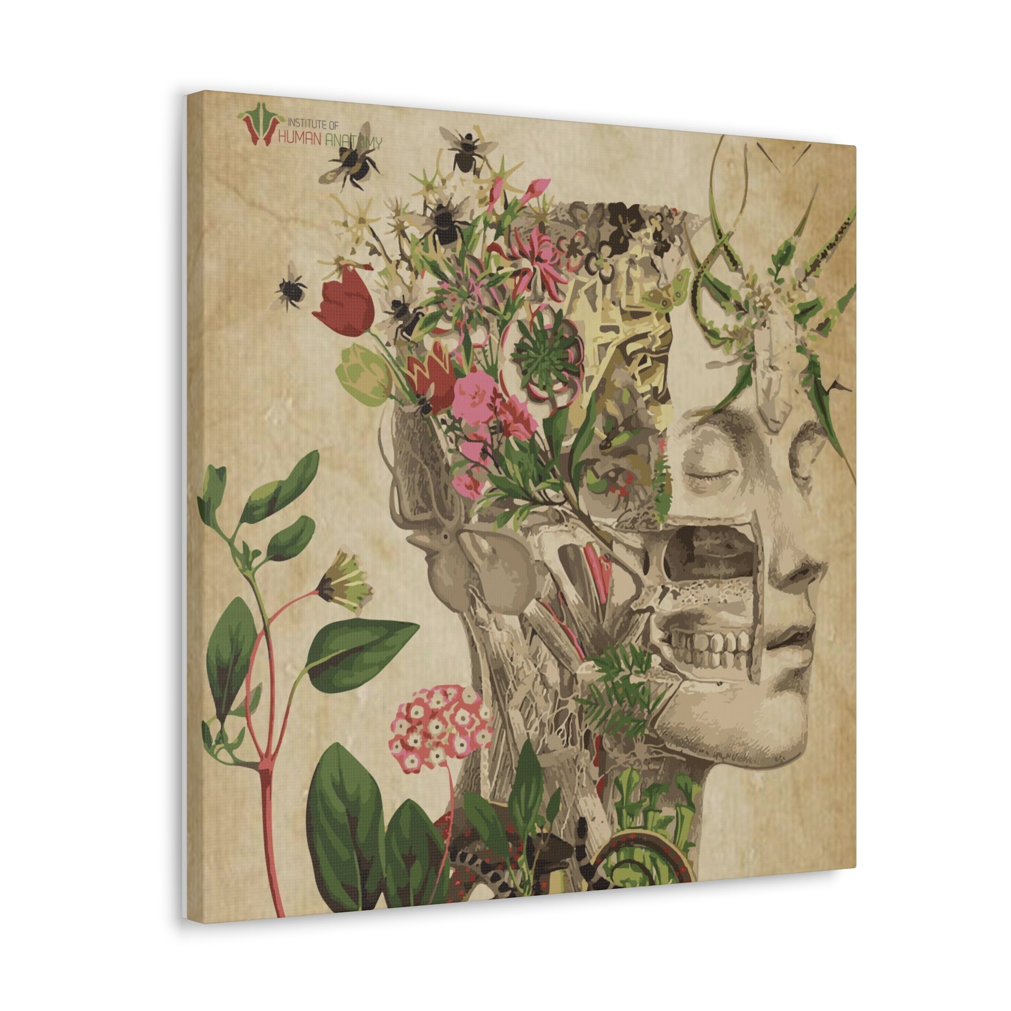 "Nature & Anatomy" V2 Canvas Print