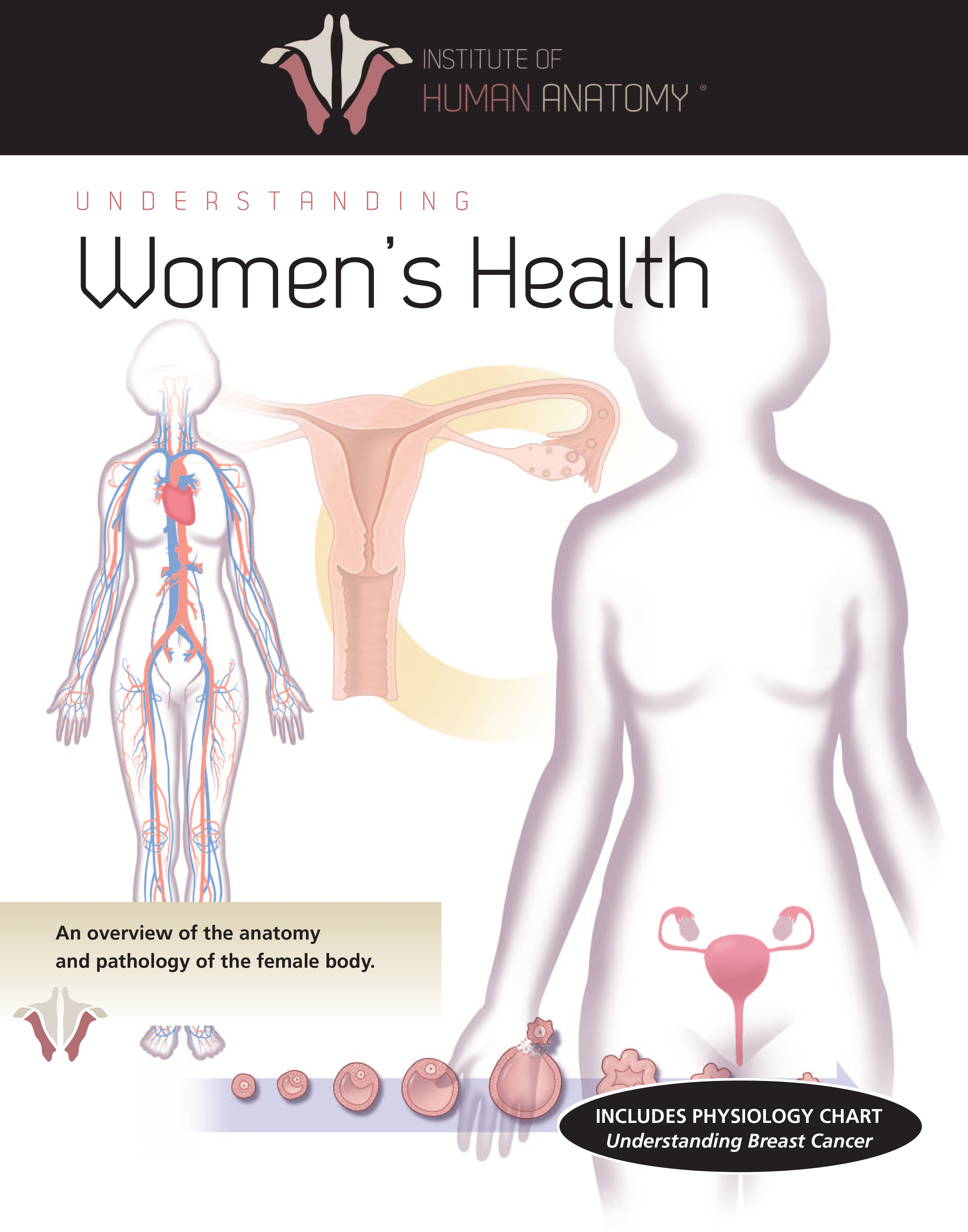 Understanding Women's Health - eBook