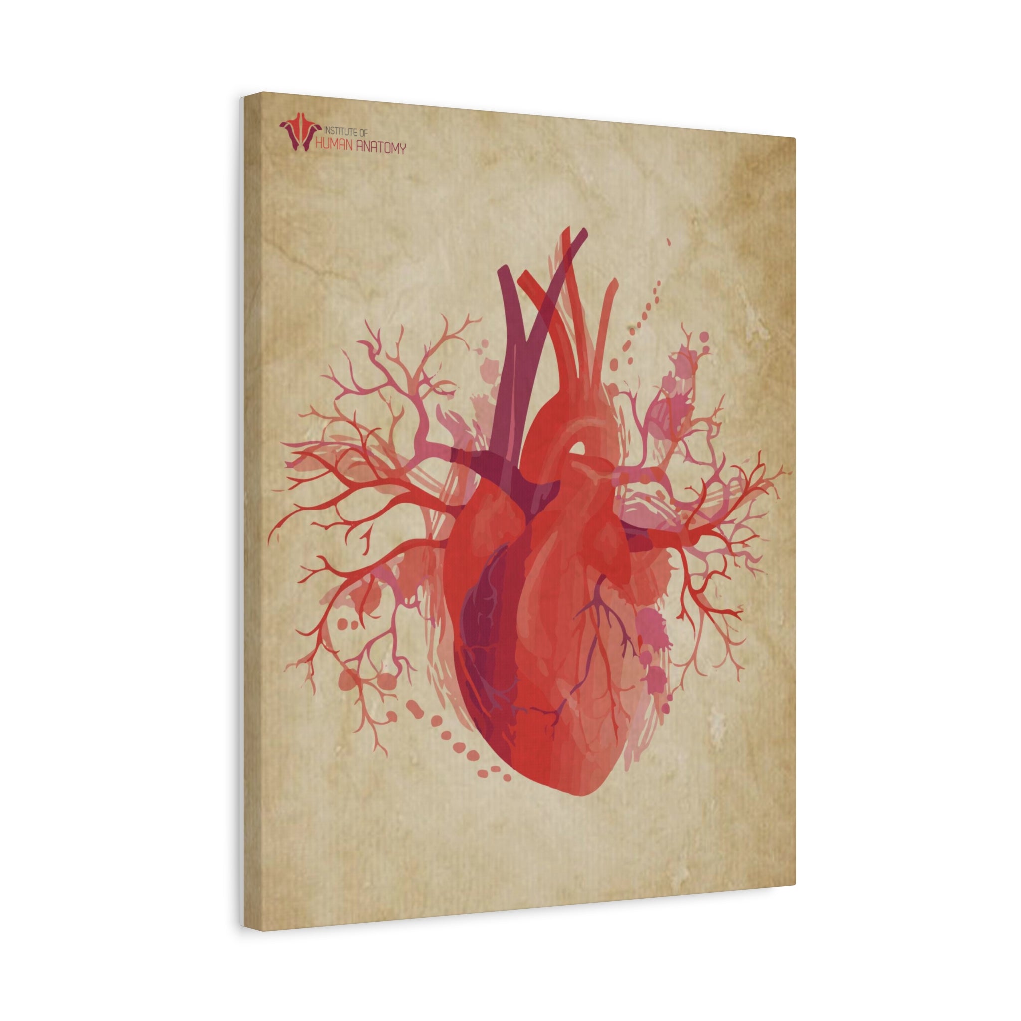 "The Visceral Heart" Canvas Print