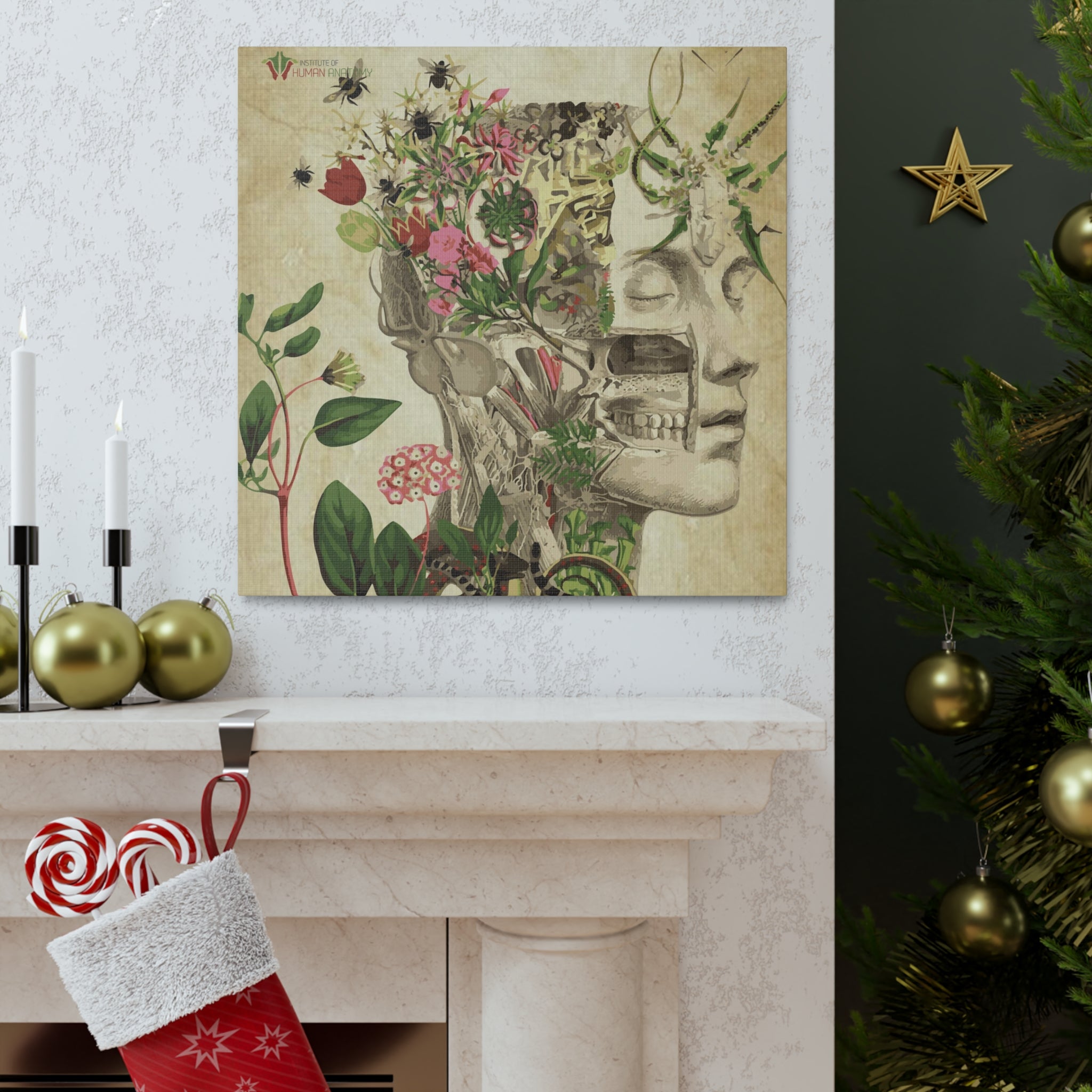 "Nature & Anatomy" V2 Canvas Print