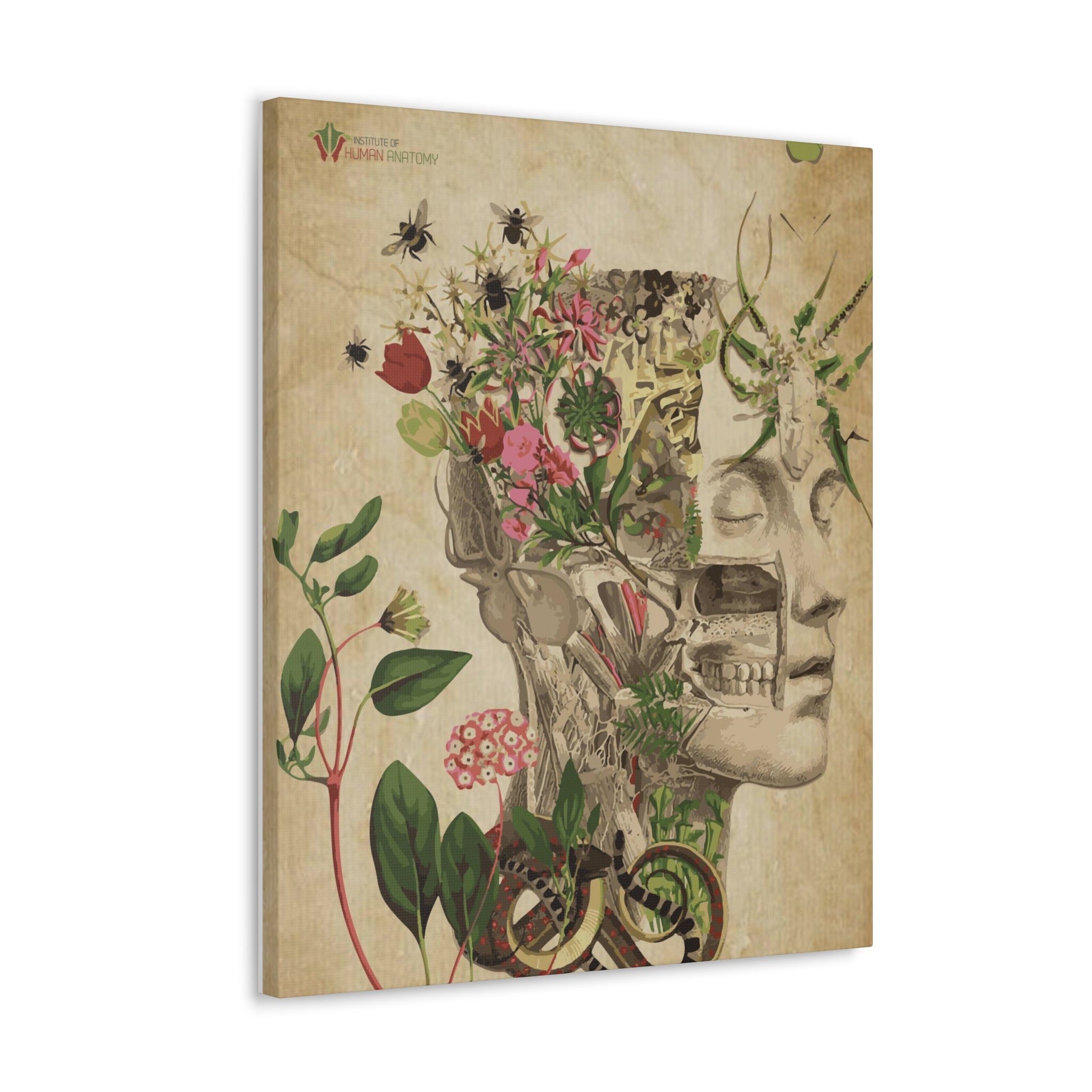 "Nature & Anatomy" V2 Canvas Print