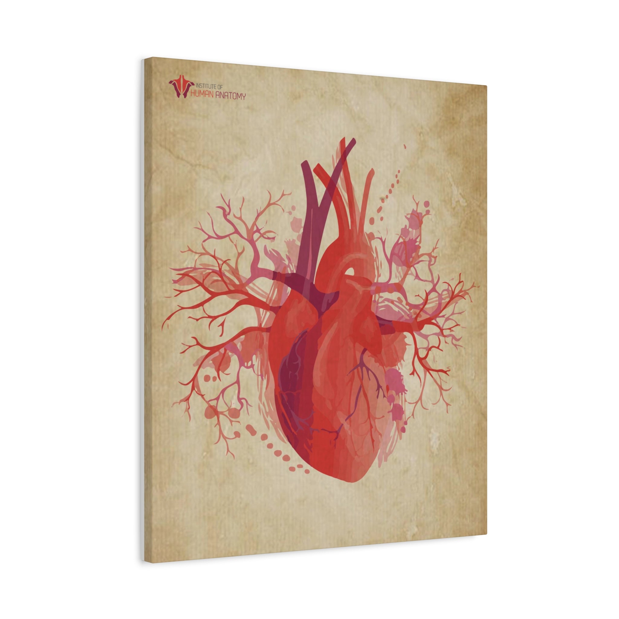 "The Visceral Heart" Canvas Print