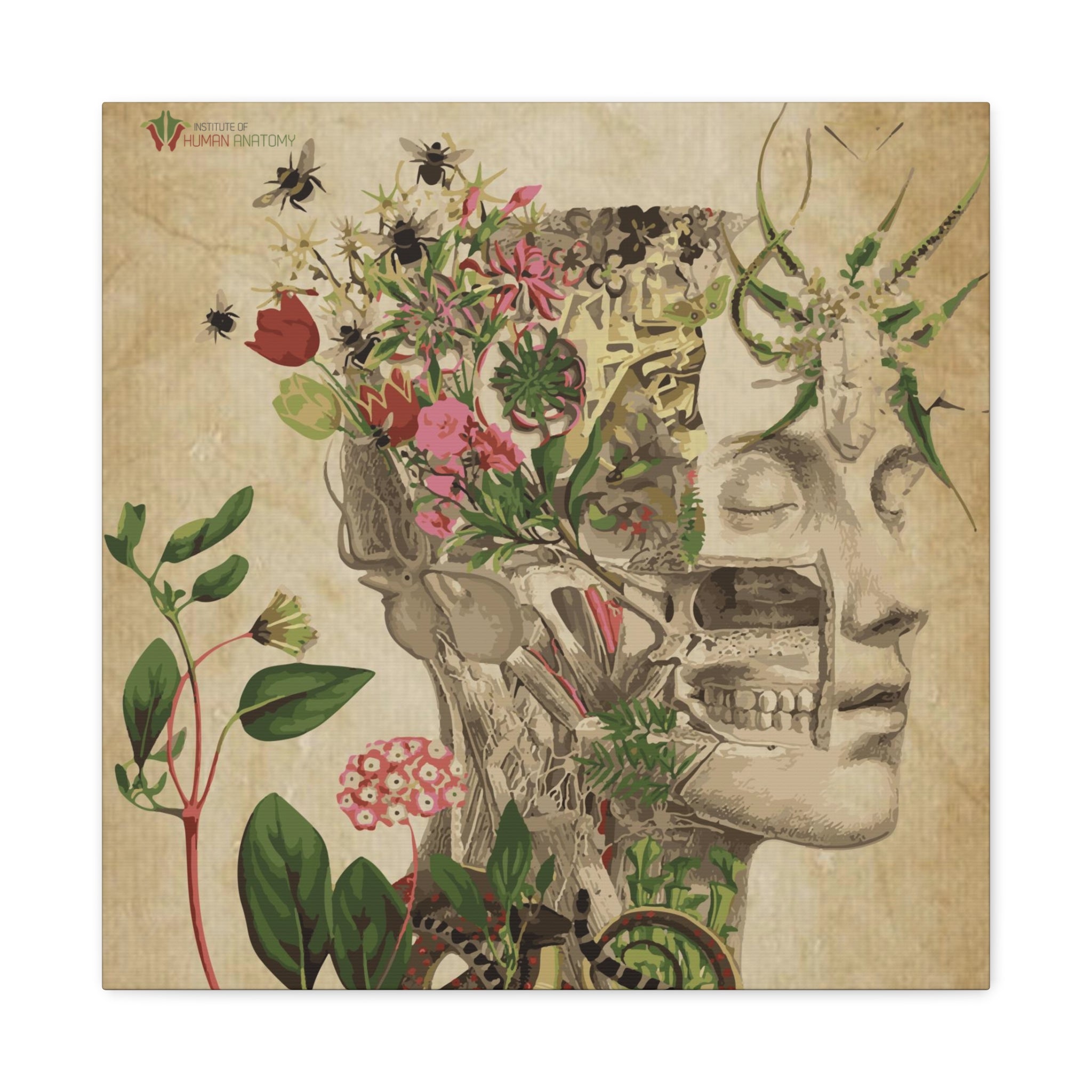 "Nature & Anatomy" V2 Canvas Print