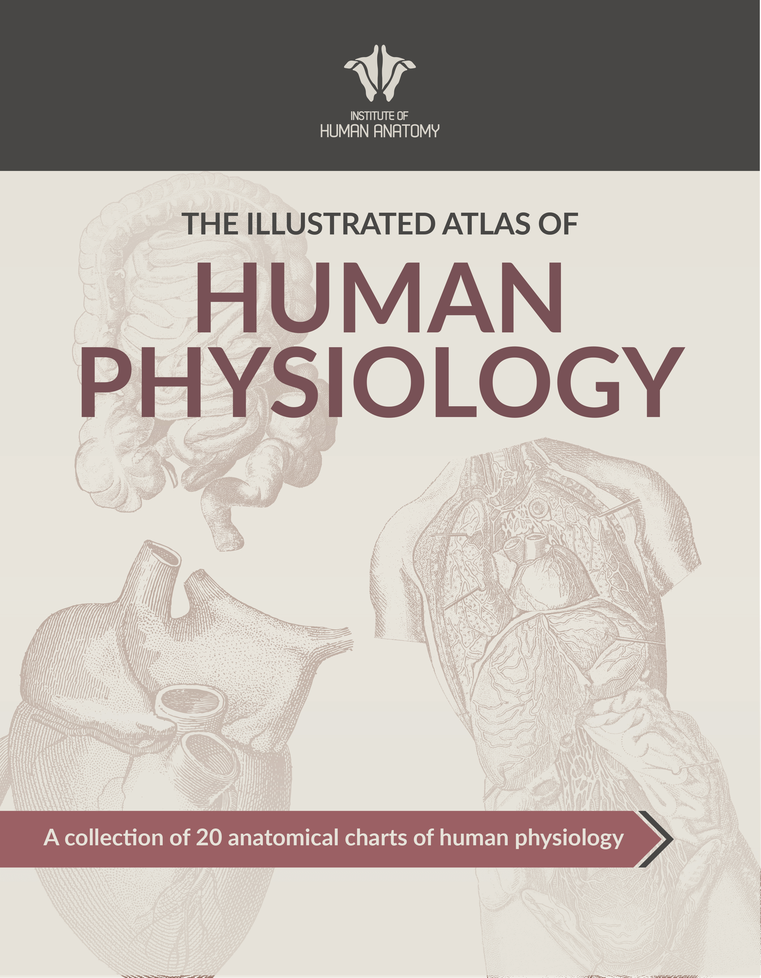 Illustrated Atlas of Human Physiology - eBook