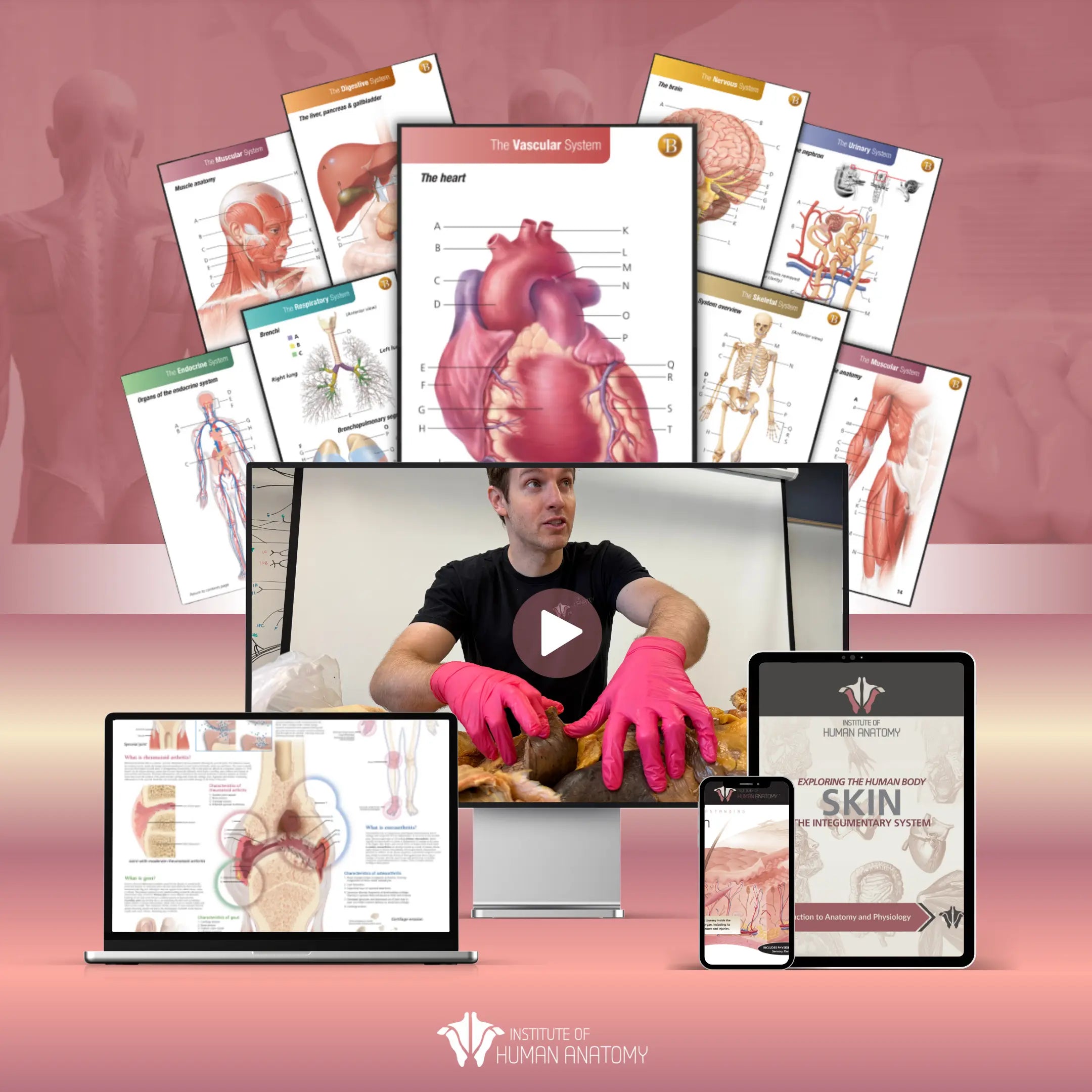 Body Systems Study Bundle