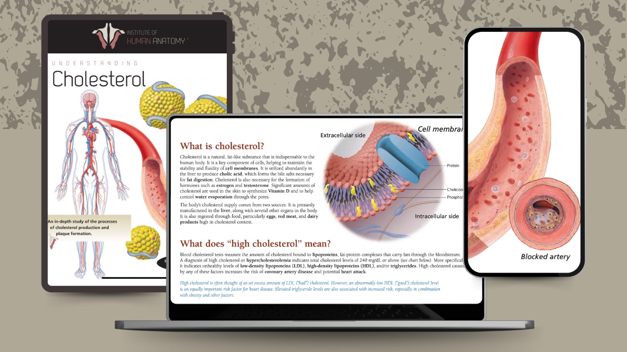 Understanding Cholesterol - eBook