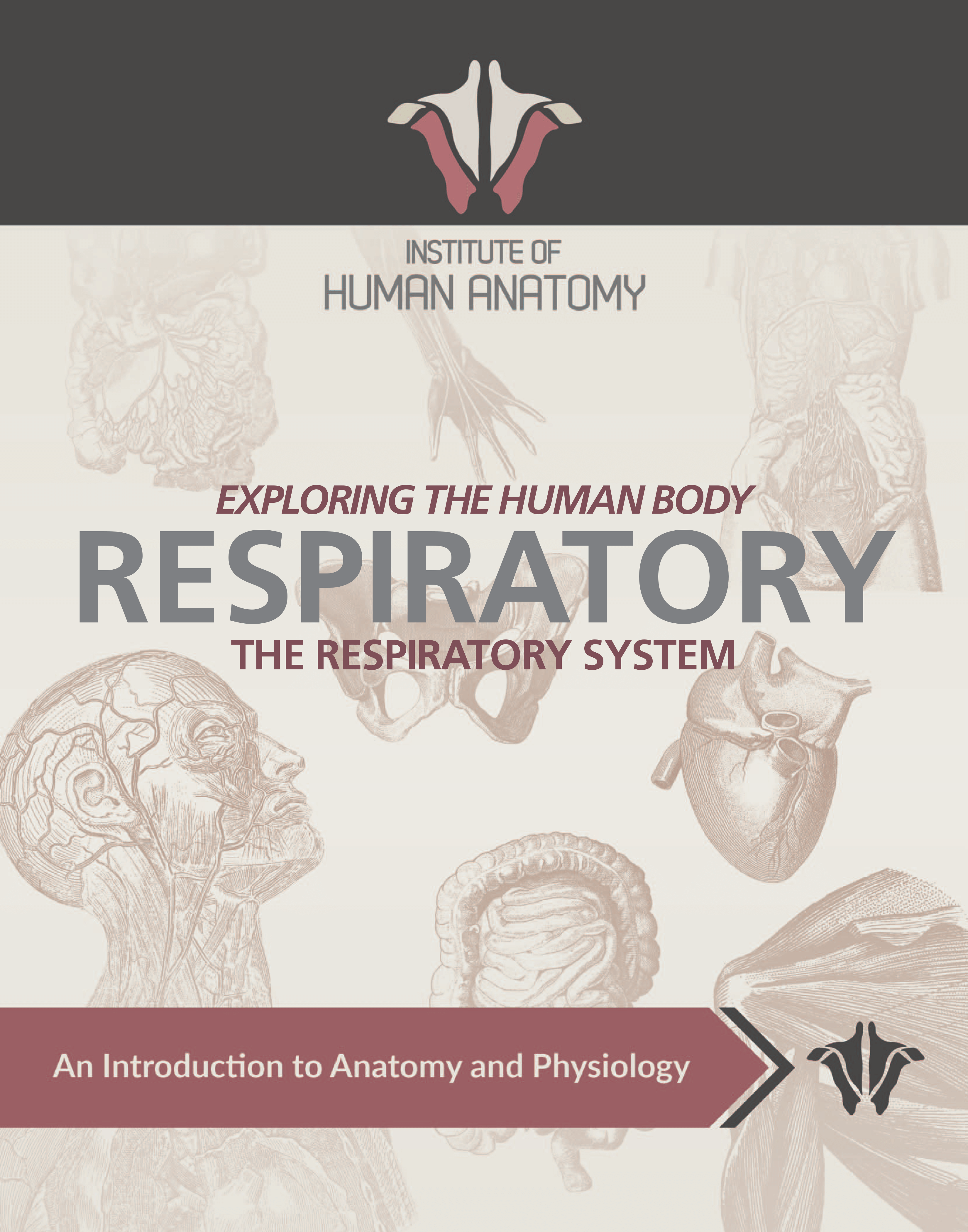 Exploring the Respiratory System - eBook
