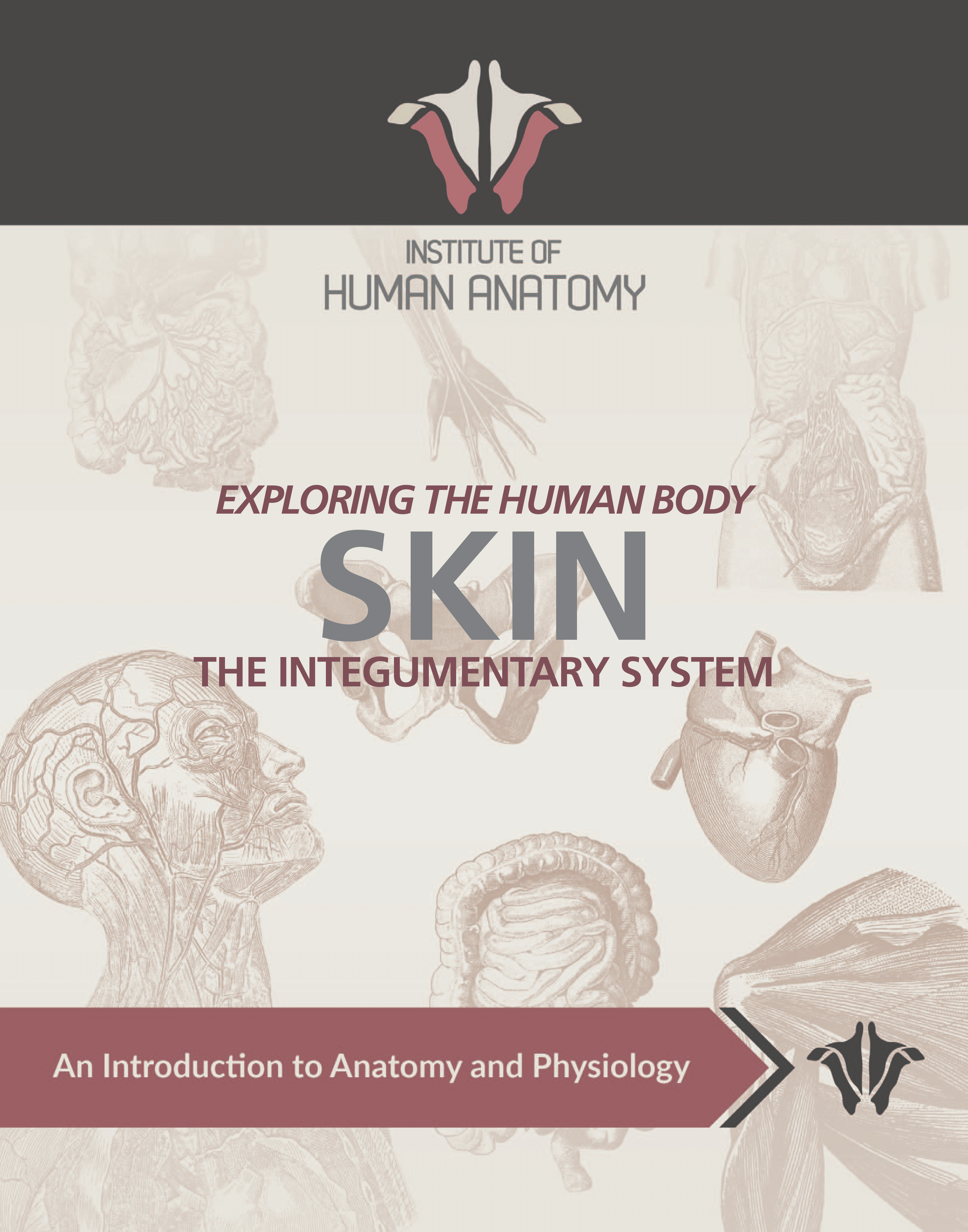 Exploring the Integumentary System - eBook