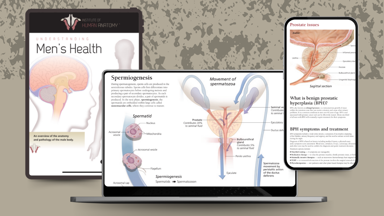 Understanding Men's Health - eBook