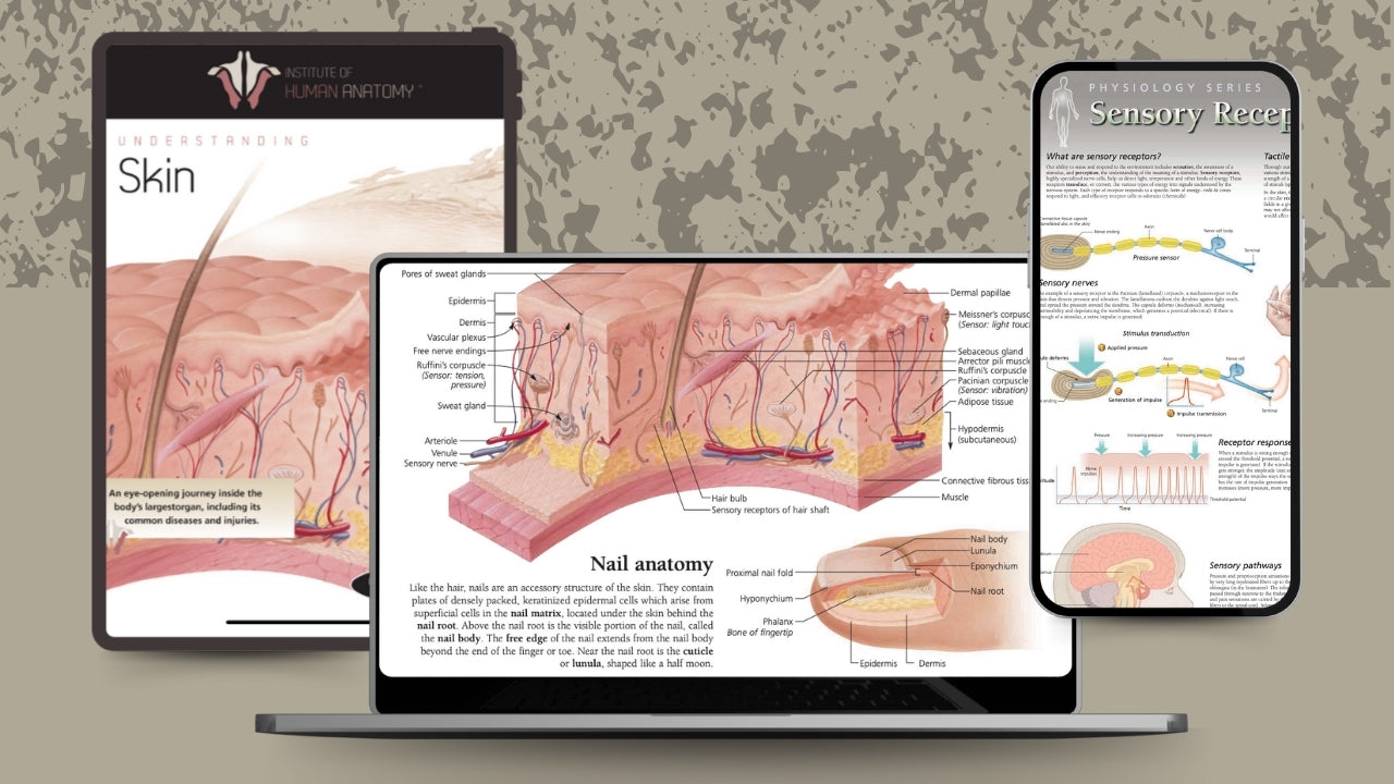 Understanding Skin - eBook
