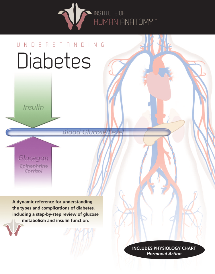 Understanding Diabetes - eBook