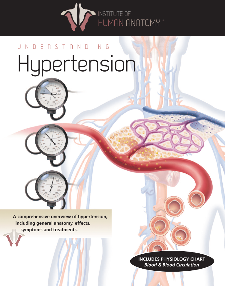 Understanding Hypertension - eBook