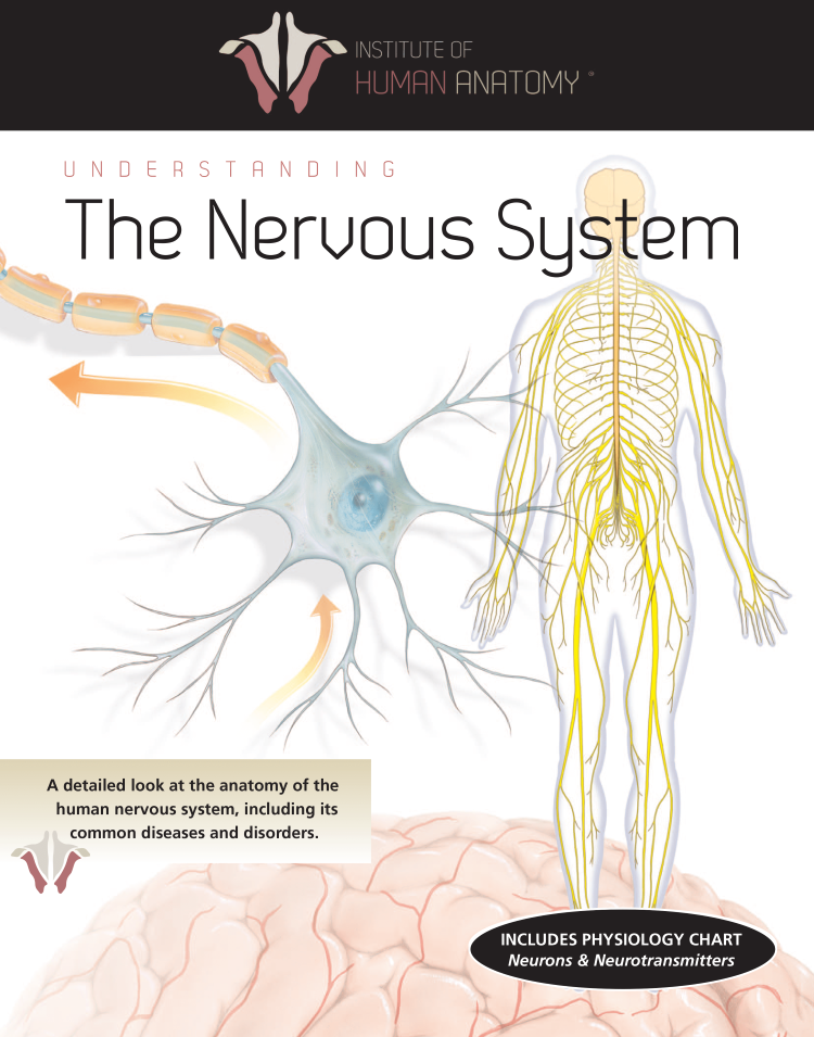 Understanding the Nervous System - eBook