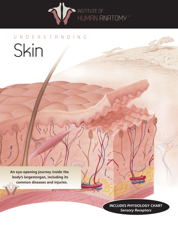 Understanding Skin - eBook