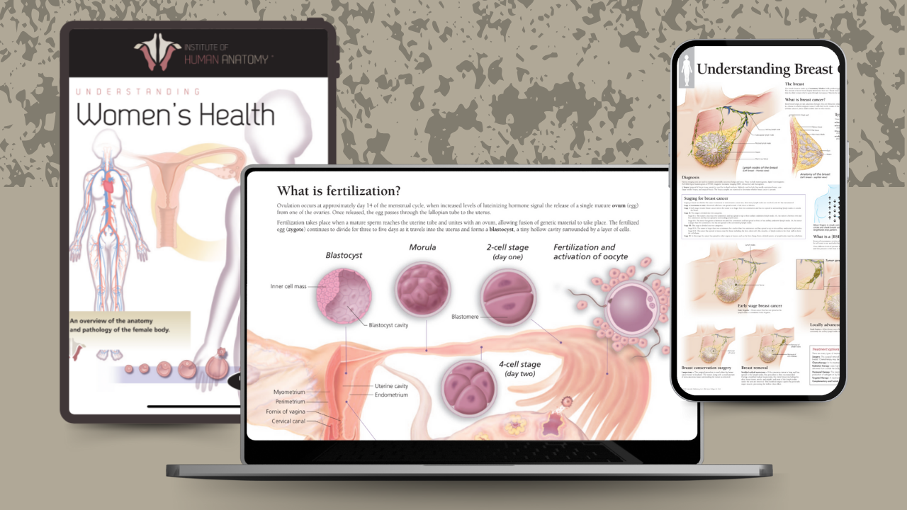 Understanding Women's Health - eBook