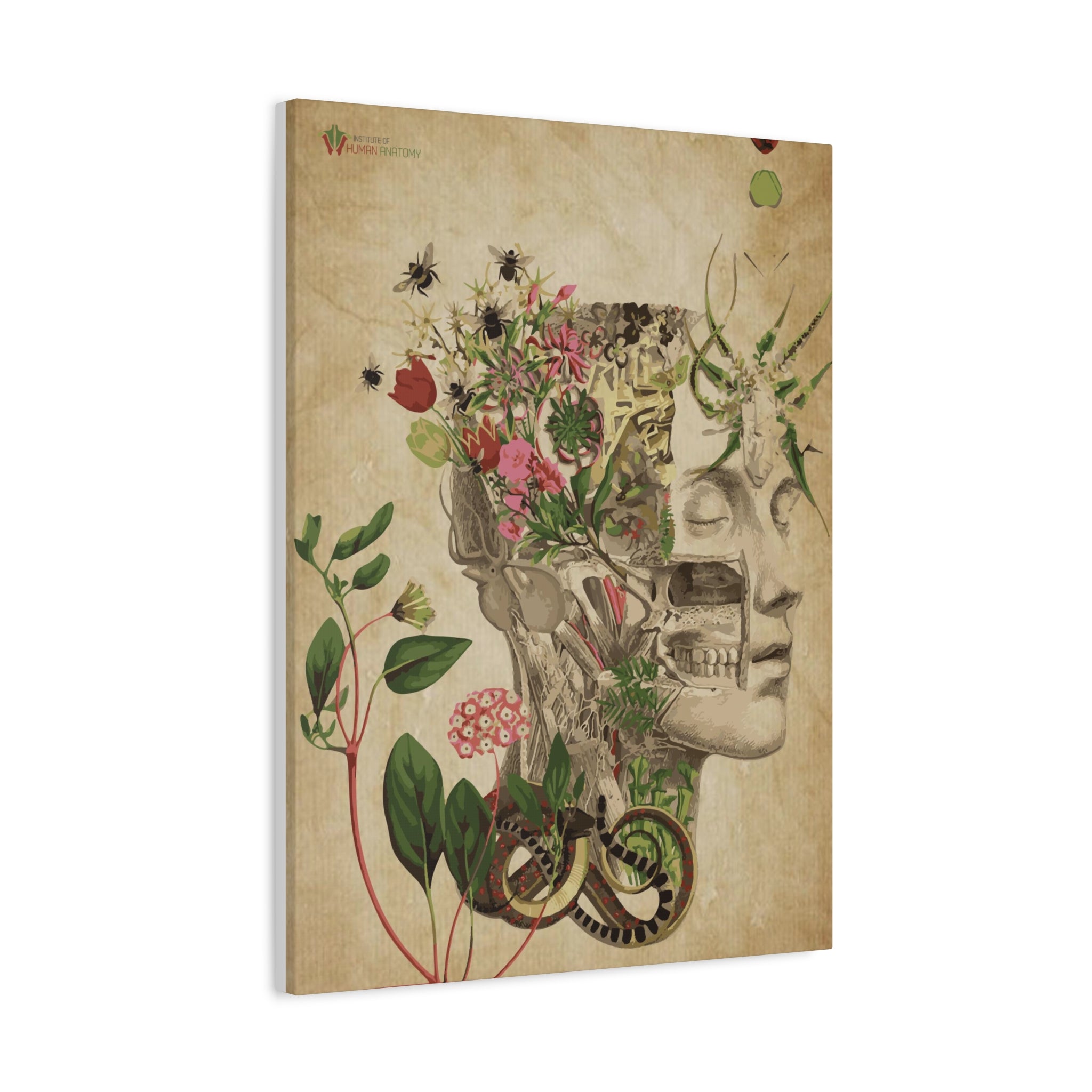 "Nature & Anatomy" V2 Canvas Print
