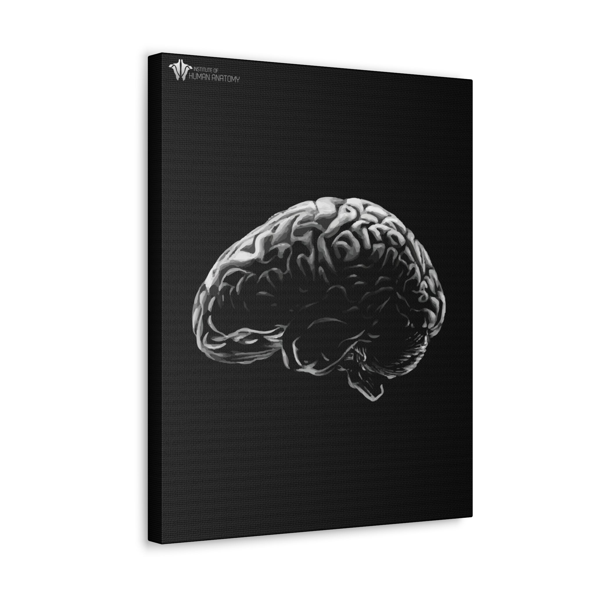 "Cerebrum" Canvas Print