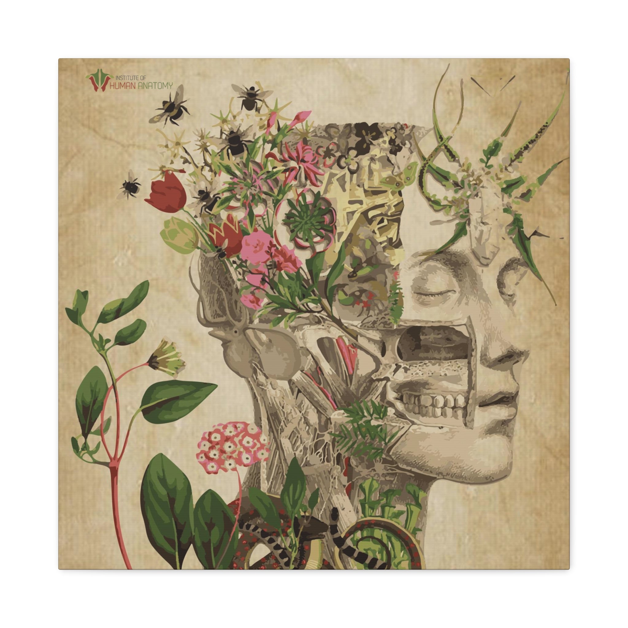 "Nature & Anatomy" V2 Canvas Print