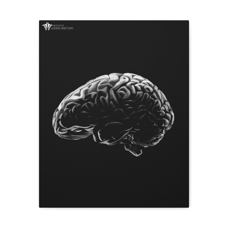 "Cerebrum" Canvas Print