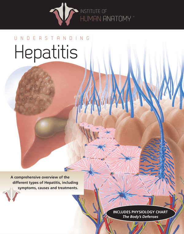 Understanding Hepatitis - eBook