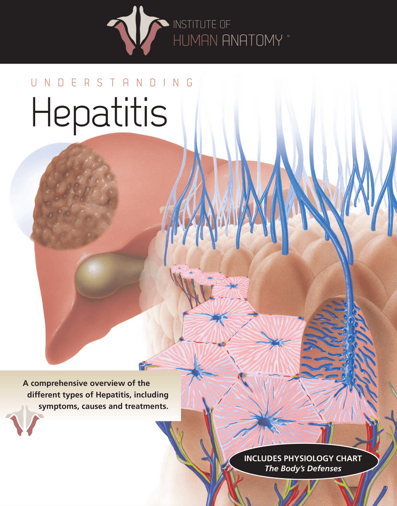 Understanding Hepatitis - eBook