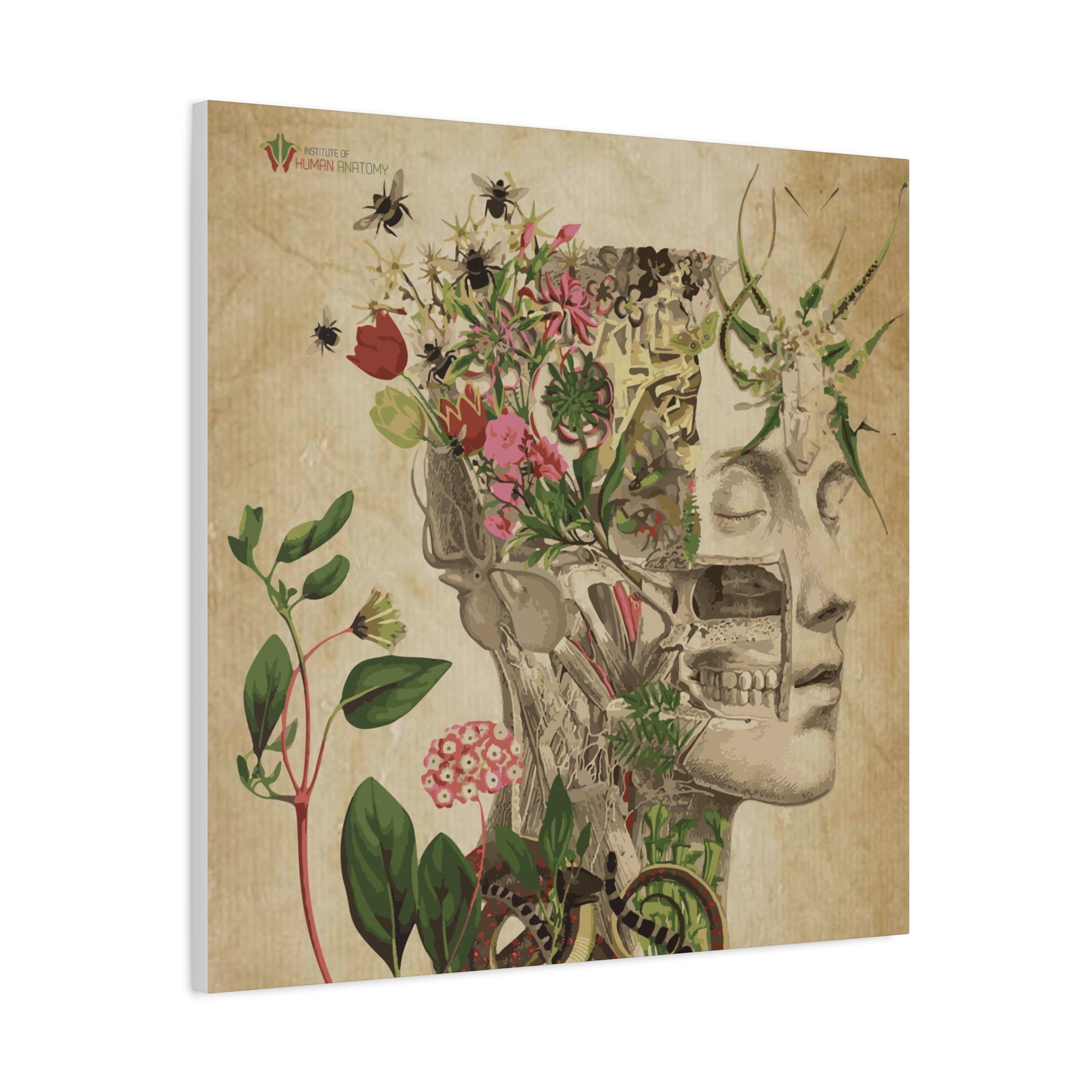 "Nature & Anatomy" V2 Canvas Print