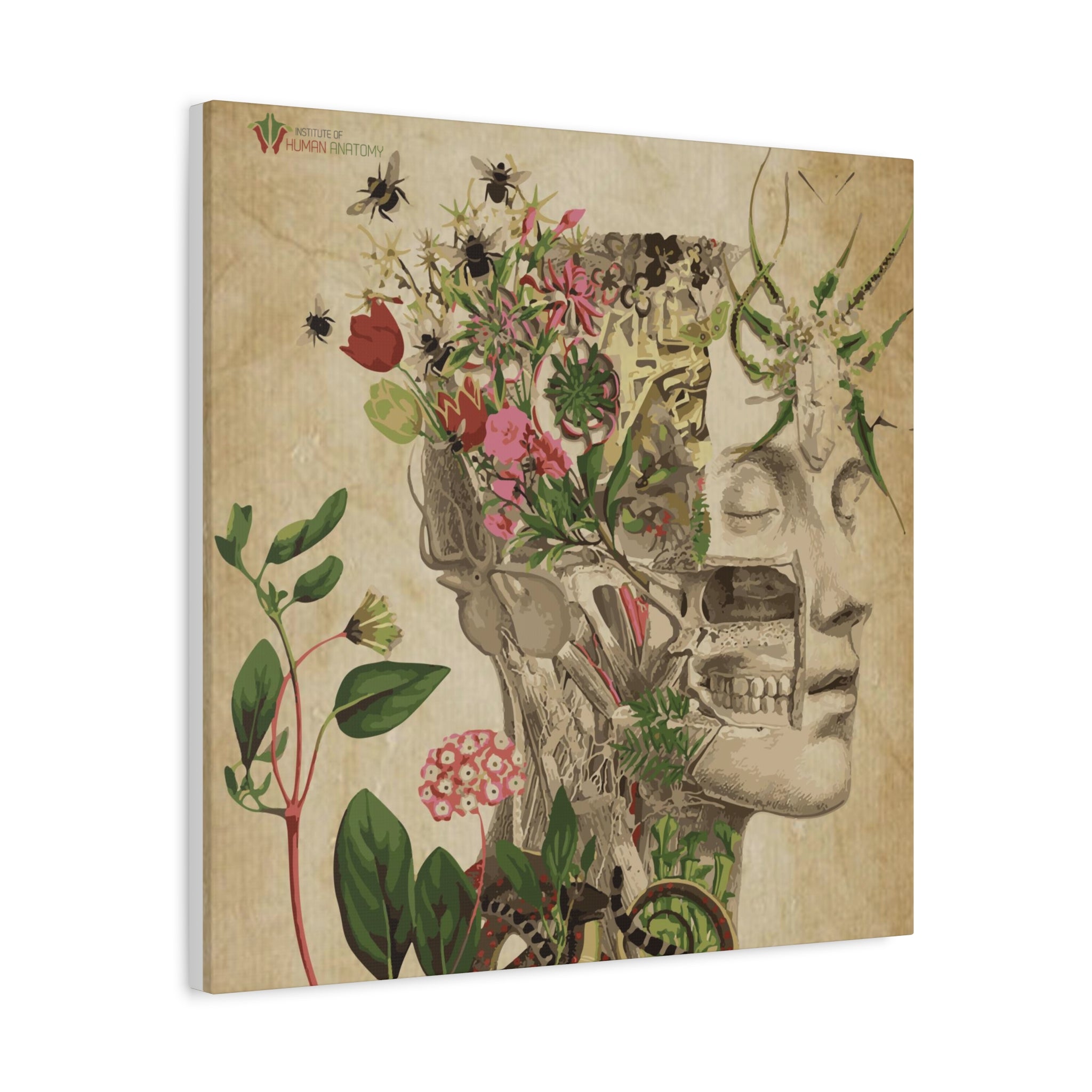 "Nature & Anatomy" V2 Canvas Print