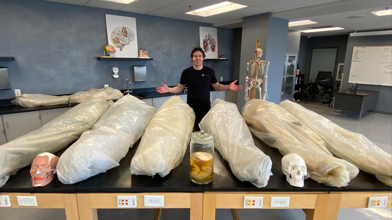 From Donation to Disposition: The Journey of a Cadaver in the Lab