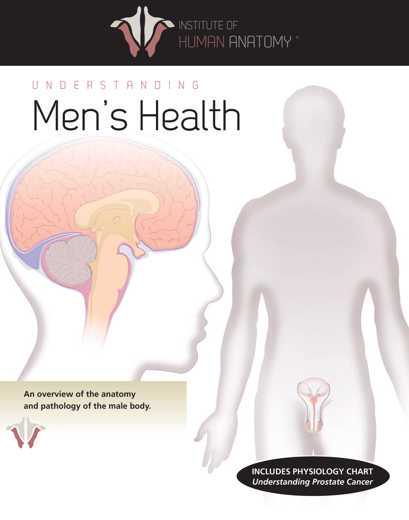 Understanding Men's Health - eBook