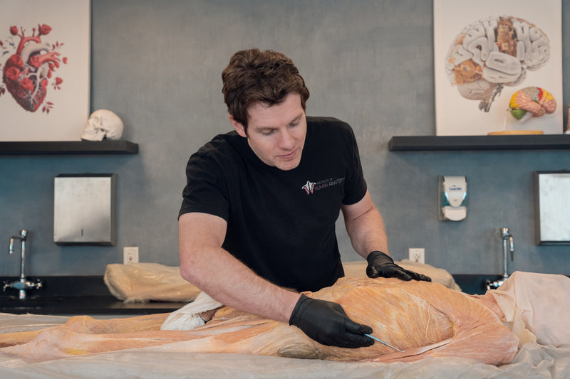 Understanding Human Anatomy: A Complete and Practical Guide