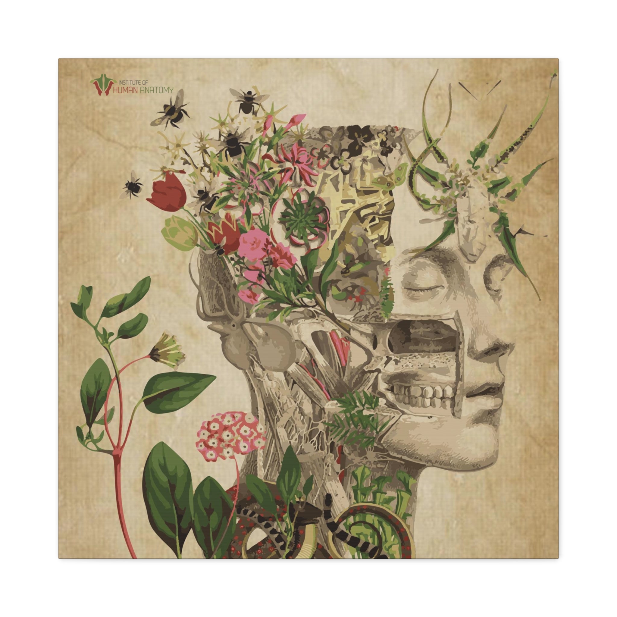 "Nature & Anatomy" V2 Canvas Print