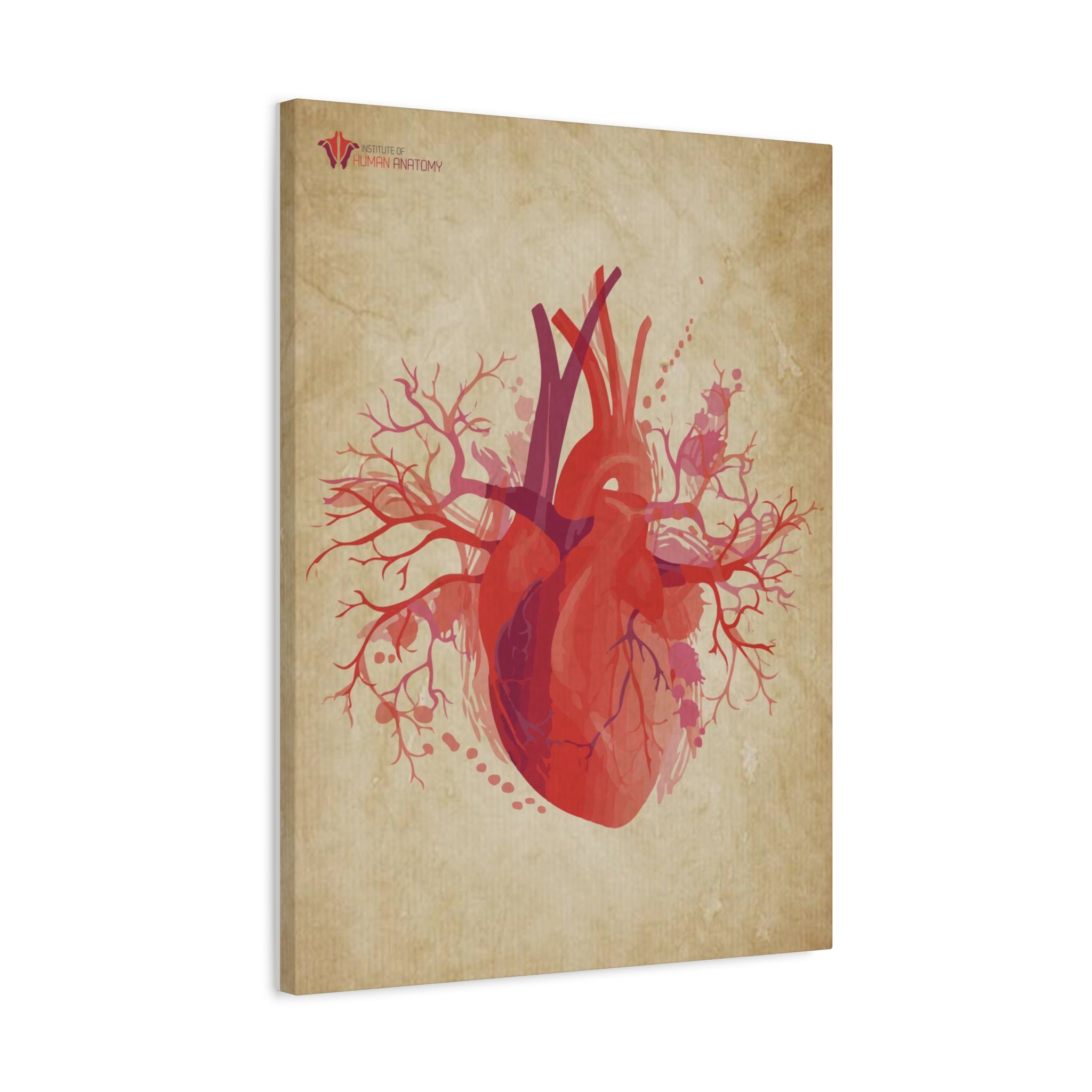 "The Visceral Heart" Canvas Print