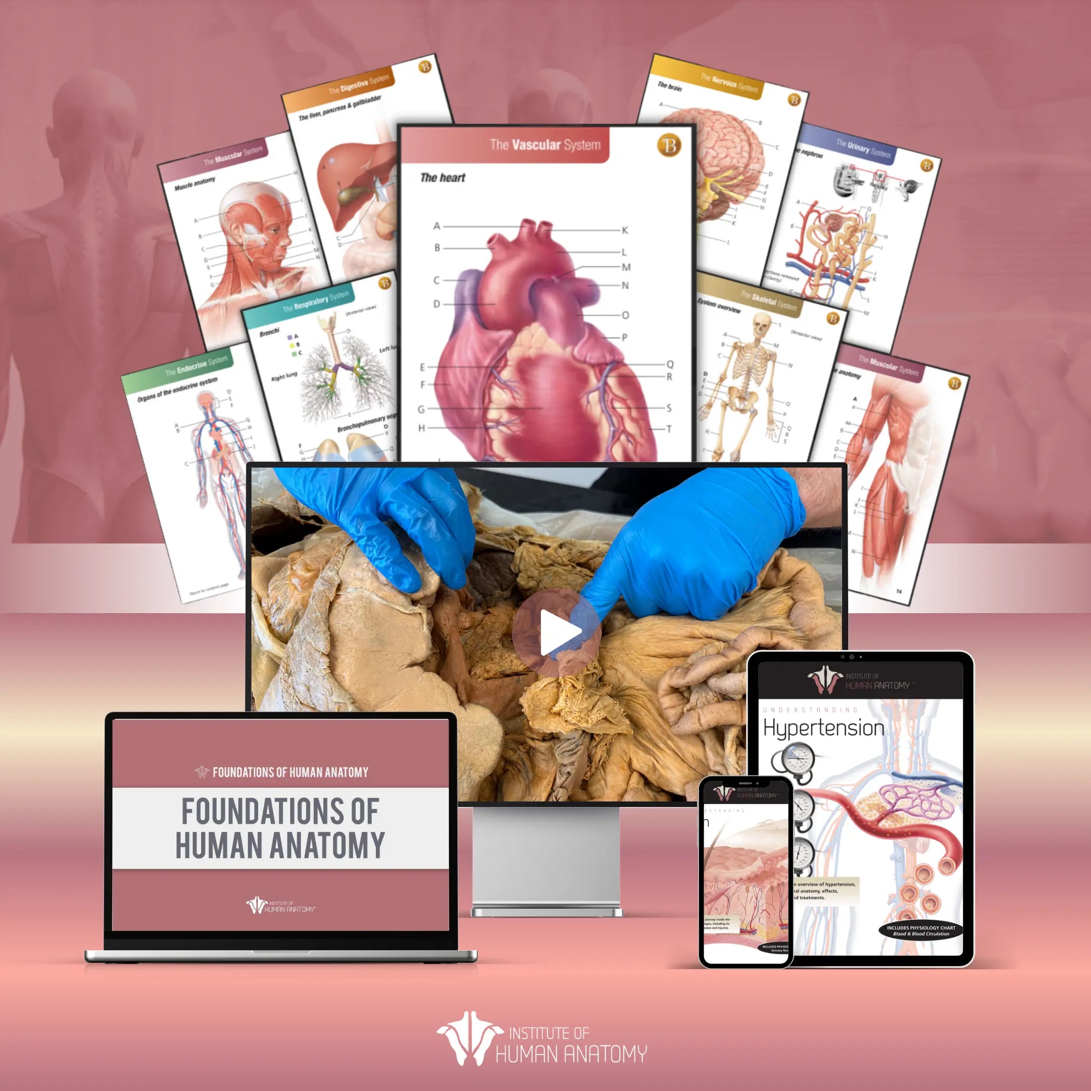 IOHA Complete Anatomy & Physiology Study Bundle