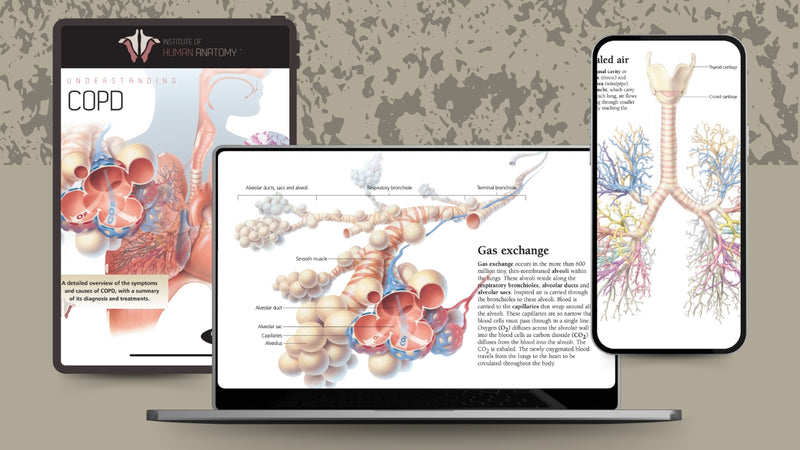Understanding COPD - eBook