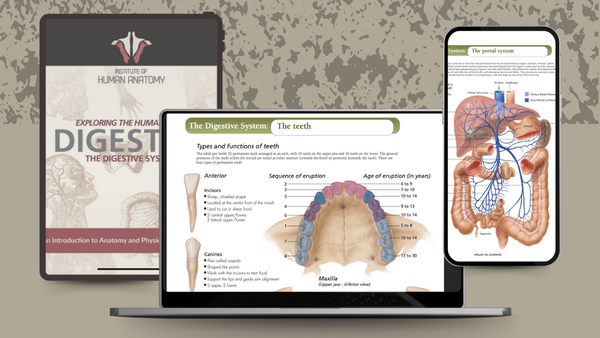 Exploring the Digestive System - eBook