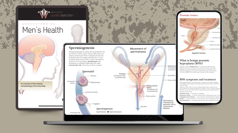 Understanding Men's Health - eBook
