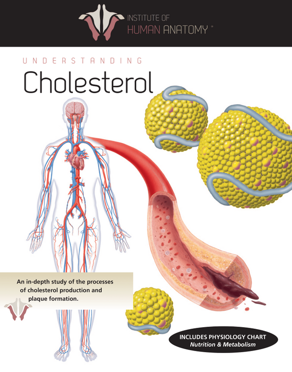 Understanding Cholesterol - eBook